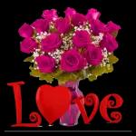 Dafter rozgar واش کیس کیس