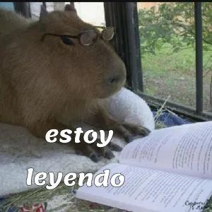 yyHuqj
