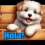 JEAN
೨೦೦೯
28