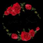 تم الشحن بنجاح