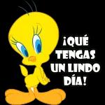 1BUENOS DIAS 468