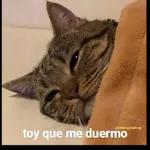 graciosos