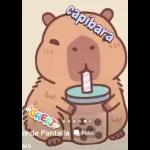 Capibara Voladorrrrrrr