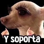 paquete 2