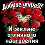 Доброе утро  ☀  ☀
