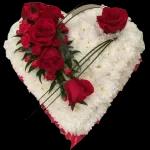 naseer