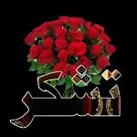 ملصقات حلوه 