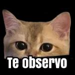 Te observo