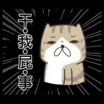 白爛貓系列：一只灰猫
