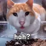 create by Triceratops Studio
SAHUR...
SAHUR...
V
Create by
Triceratops Studio