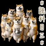 圓柴柴4：柴腹自由 薯條加大