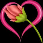 Flower is for you🌺