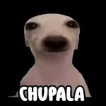 memes