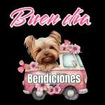 Gil Manzano cuando ve a un jugador del Barça