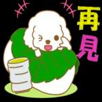 白貴賓犬表情包