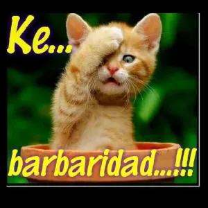 Kel barbaridad...!!!  - getsticker.com