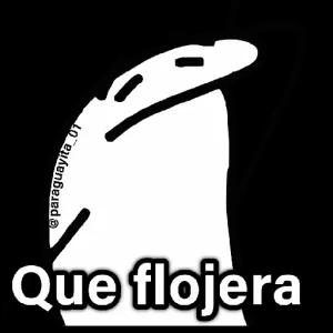 zMgfef