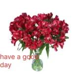 best wish for you