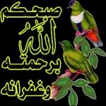 منشاء منشاء