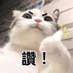 讚！