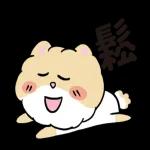 博美狗AB-不正经动起来