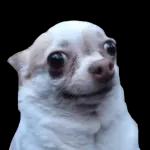                              De todo un Poco #➏ 👻TOP STICKERS