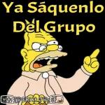 saris bb