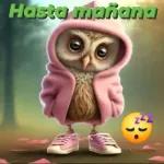 sexo