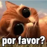 llorando 