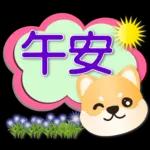 可愛柴犬--實用語問候對話框