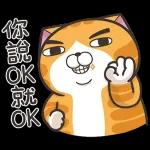 白爛貓11☆超級萌☆