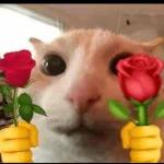 Animais com Emoji de Flor 🌹