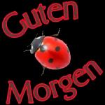 Hab dich
lieb.