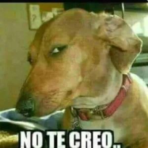No te creo. - getsticker.com