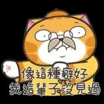 白爛貓