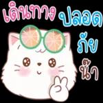 สวัสดีค่ะ