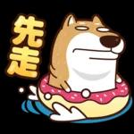我是你的柴 2