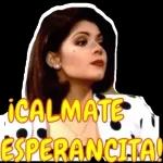 Tu me lo haces bonito