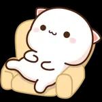 Mochi Peach Cat 2
                    
Mochi Peach Cat