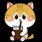 Cats! For reply