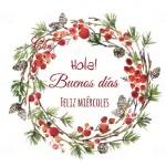 BELI