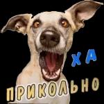 анимация 