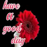 thank you my darling😘❤️