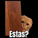 Te extraño