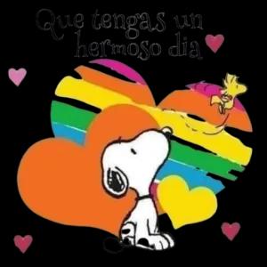 te7c81d