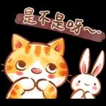 早晨！带住你笑笑口😊