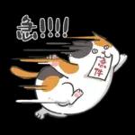 肥貓躺躺(上班鳥事)