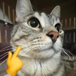 q9rTke