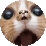 asombro 