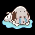 PEKO醬☆冬季繽紛